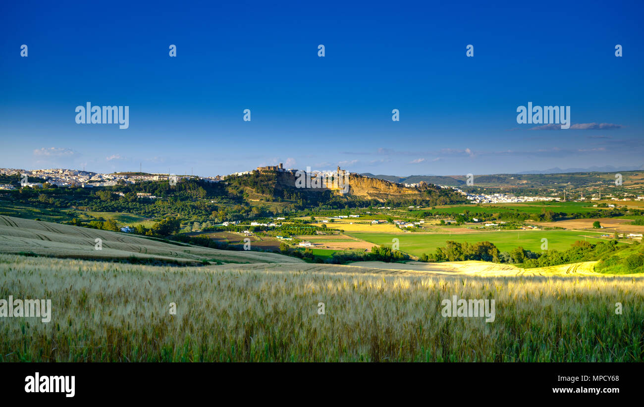 Voir d'Arcos de la Frontera au coucher du soleil sur un champ de blé à proximité de l'A-389, Andalousie, Espagne Banque D'Images