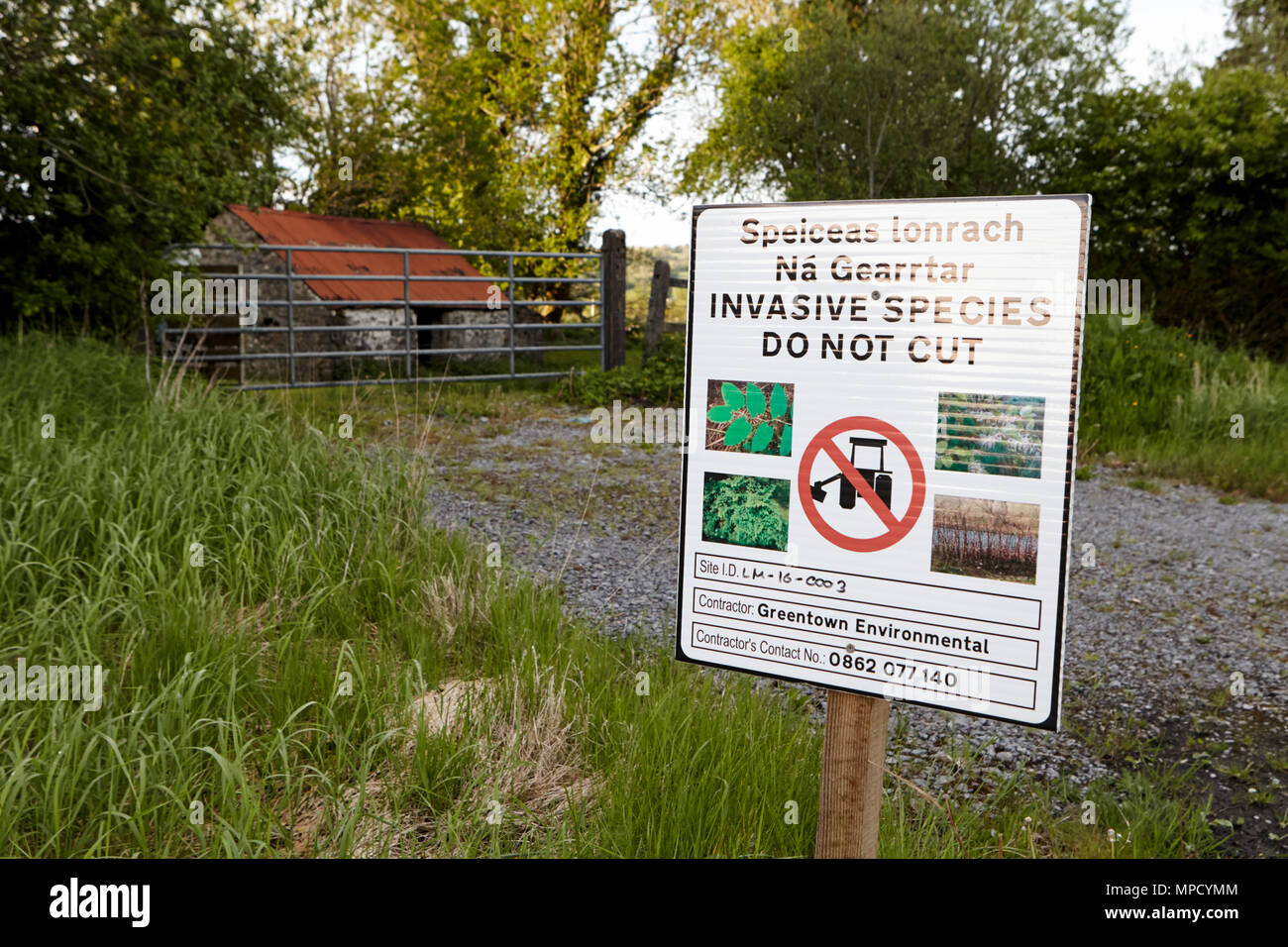 Route panneau d'avertissement ne pas couper des espèces végétales envahissantes county leitrim Irlande l'éradication de la renouée du Japon sur les accotements en County Leitrim Banque D'Images