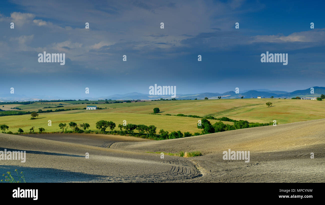 Une vue sur les terres fertiles contreforts entre Arcos de la Frontera et El Bosque sur la frontière du Parc Naturel Sierra de Grazalema Banque D'Images