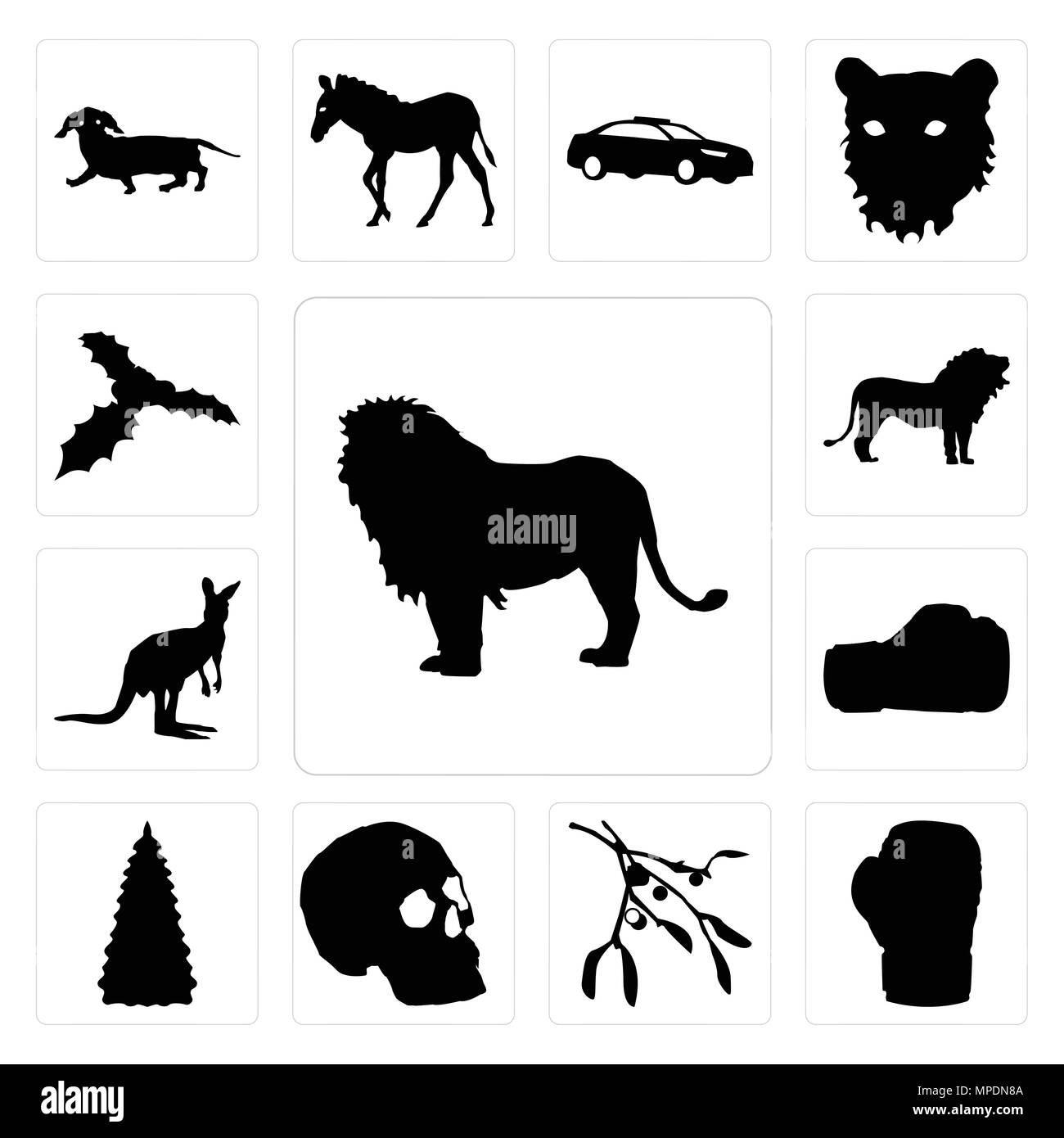 Ensemble de 13 icônes modifiable simple comme lion contour des images sur fond blanc gant de boxe, l'arrière-plan le gui peut être utilisé pour le mobile, l'interface utilisateur web Illustration de Vecteur