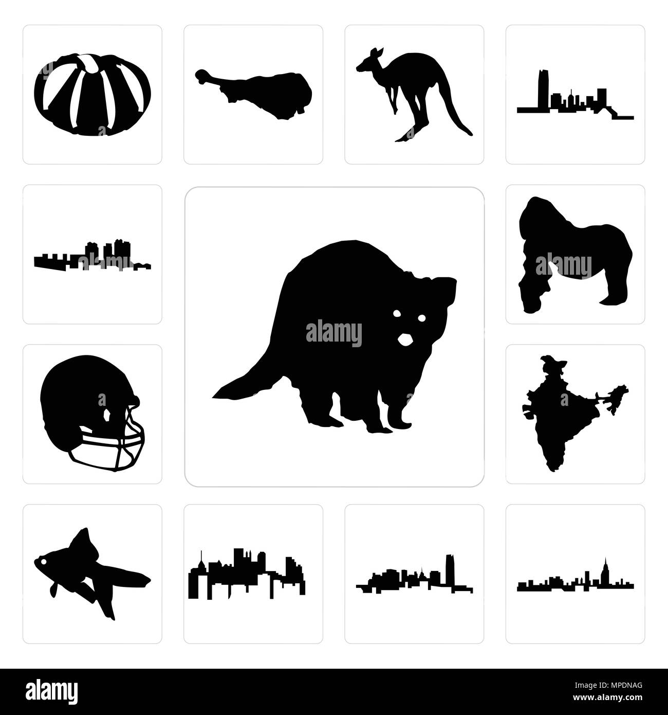 Ensemble de 13 icônes modifiable simple comme le raton laveur, New York, New York, New York State, poisson rouge, Inde, football helmet, gorille, Haïti peut être utilisé f Illustration de Vecteur