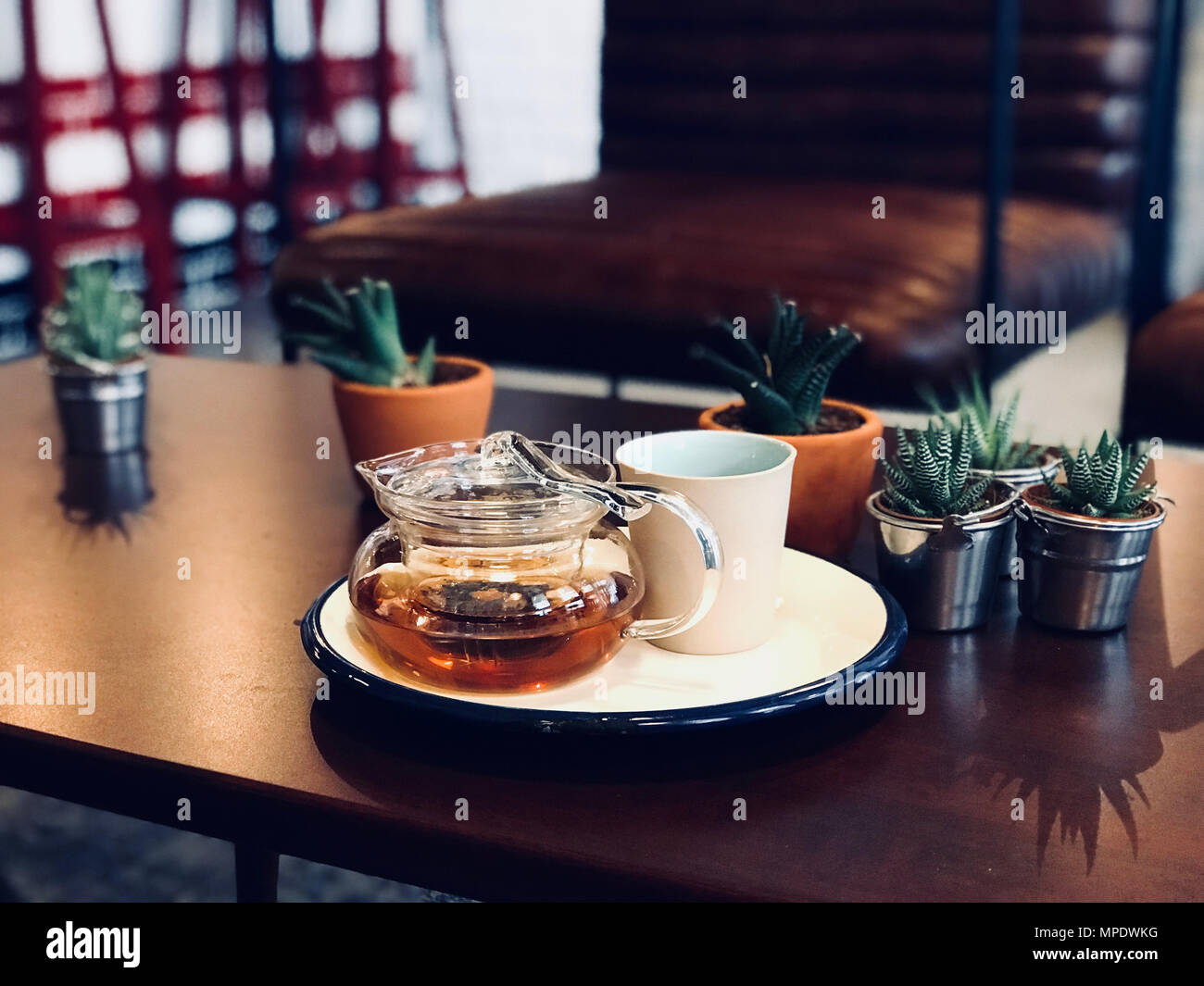 Thé bergamote dans la théière en verre avec fleurs de cactus au Café Shop. Concept de boisson. Banque D'Images