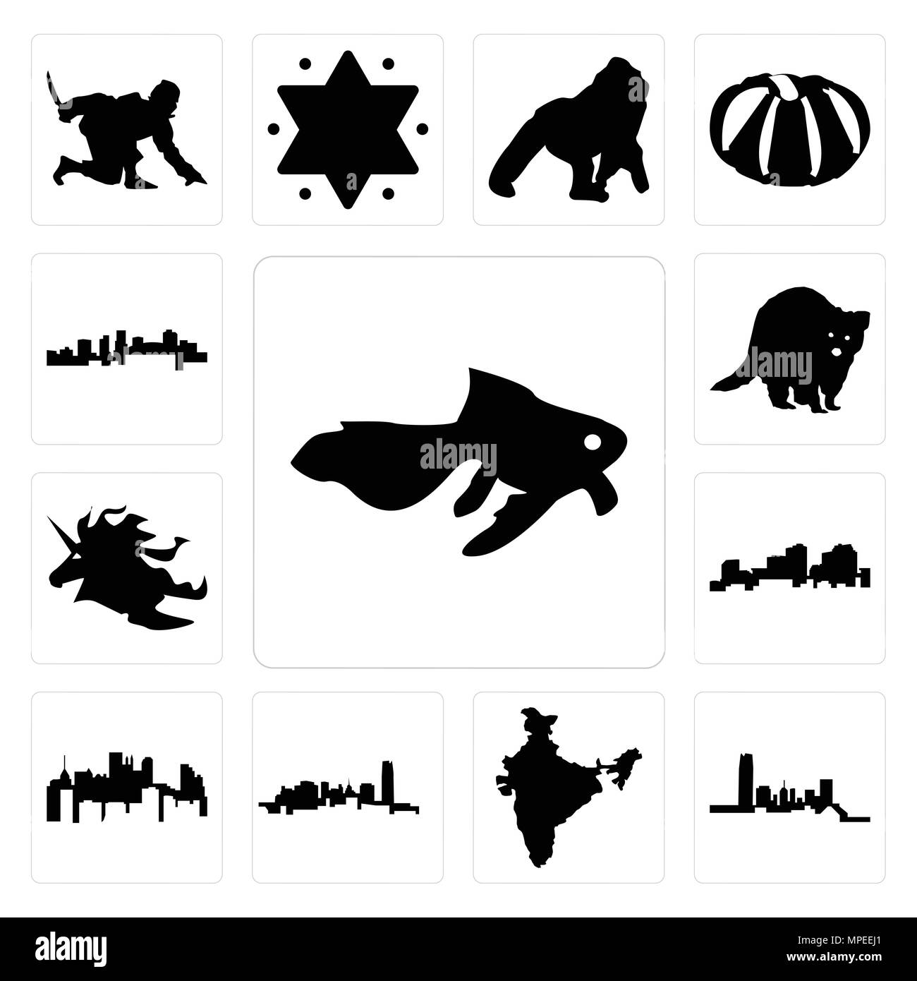 Ensemble de 13 icônes modifiable simple comme le poisson rouge, New York, Inde, New York State, Louisiane contours sur fond blanc, tête de licorne, le raton laveur, un Illustration de Vecteur