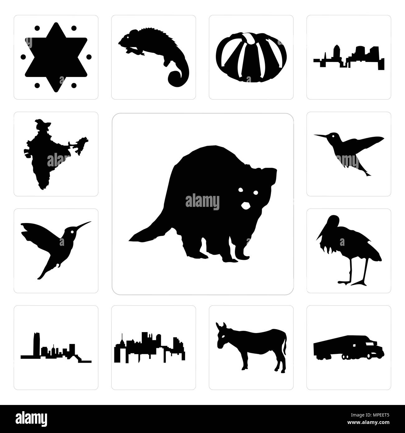 Ensemble de 13 icônes modifiable simple comme le raton laveur, semi truck, âne, Pennsylvania State, New York, Stork, Hummingbird, l'Inde peut être utilisé pour le mobile, w Illustration de Vecteur