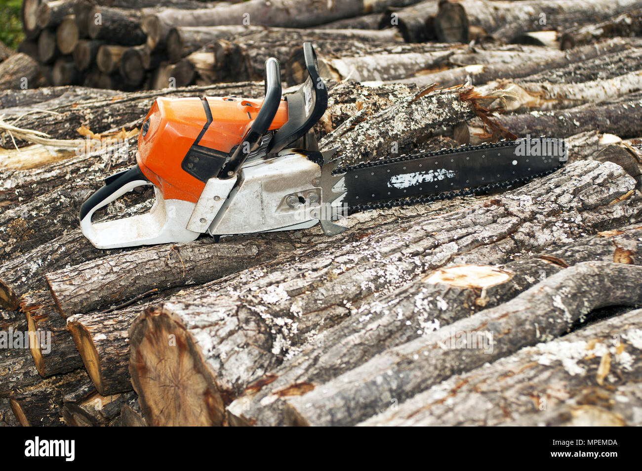 Scie à chaîne à essence sur le tas de bois coupé Banque D'Images