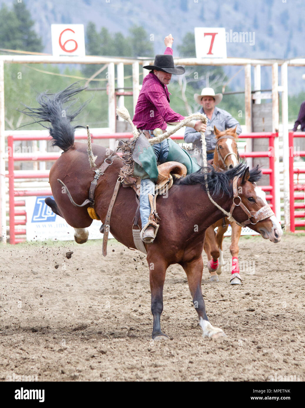 Saddle bronc riding. Banque D'Images