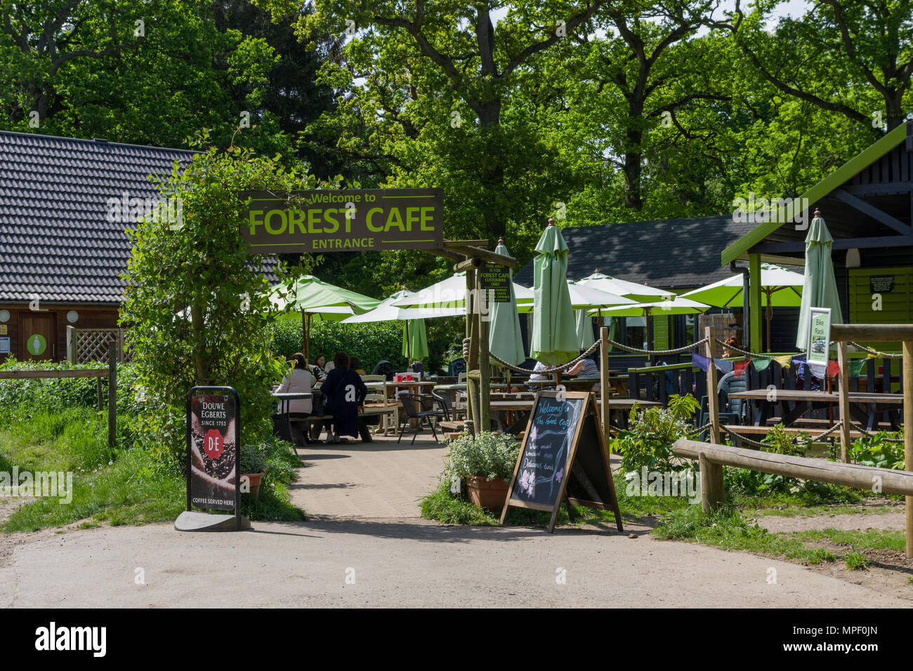 La forêt Café, un café rustique qui sert une variété de plats locaux, situé dans la forêt de Salcey de beauty spot, Northamptonshire, Angleterre Banque D'Images