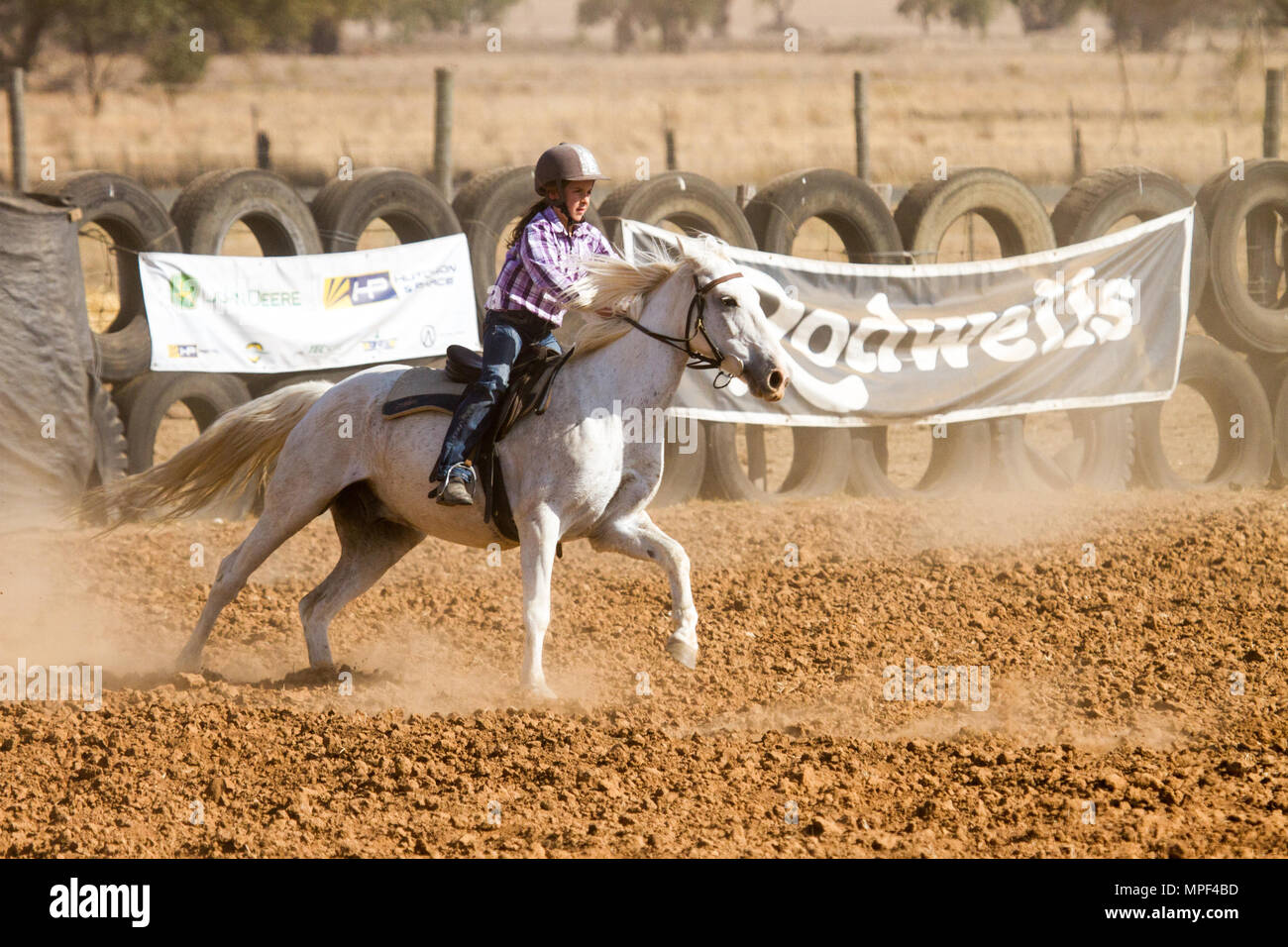 Un cavalier junior sur un cheval blanc au Rock Campdraft Banque D'Images Un cavalier junior sur un cheval blanc au Rock Campdraft Banque D'Images