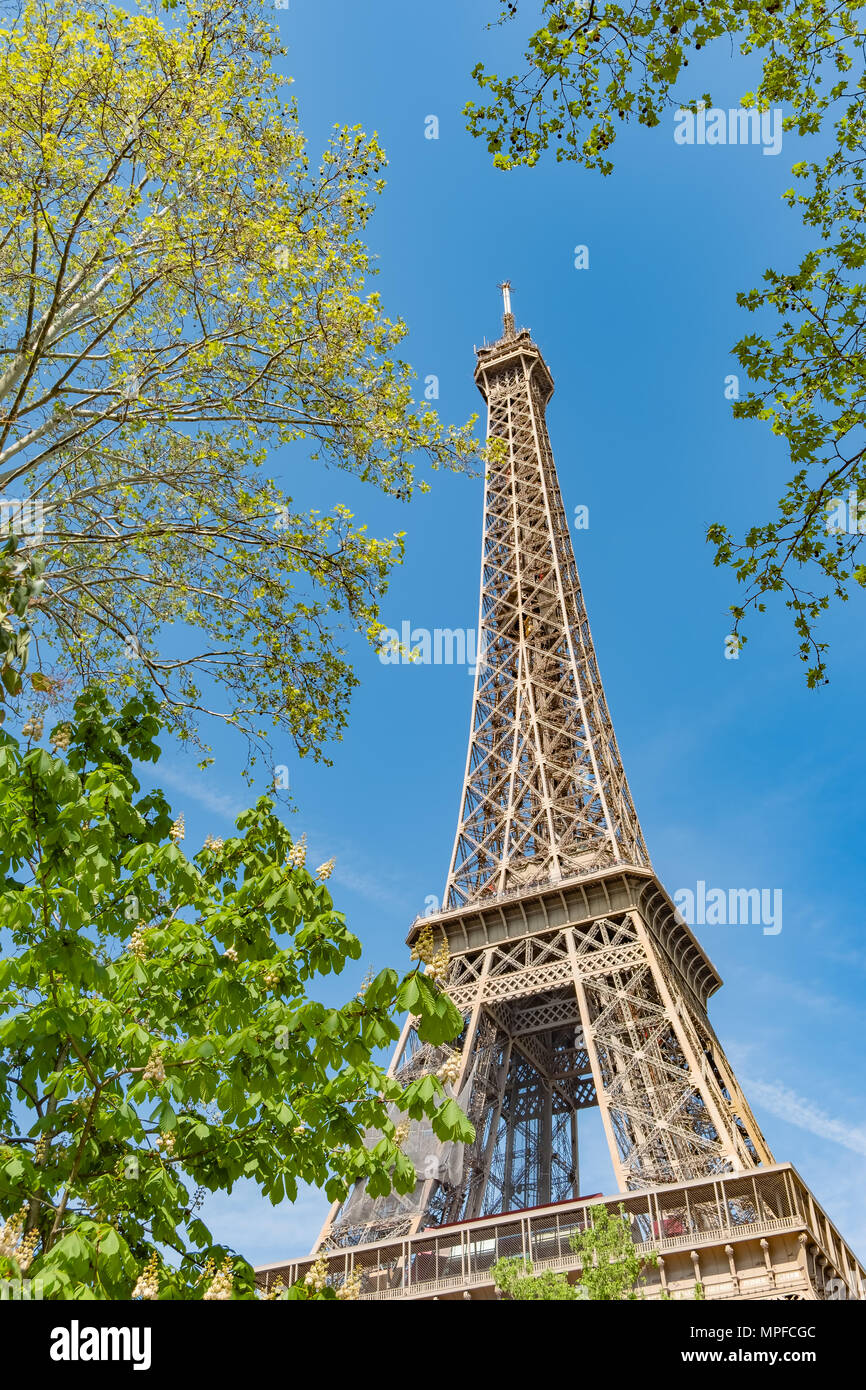 Vue vers le haut de la Tour Eiffel à Paris France encadré par le feuillage et fleurs de printemps. Banque D'Images