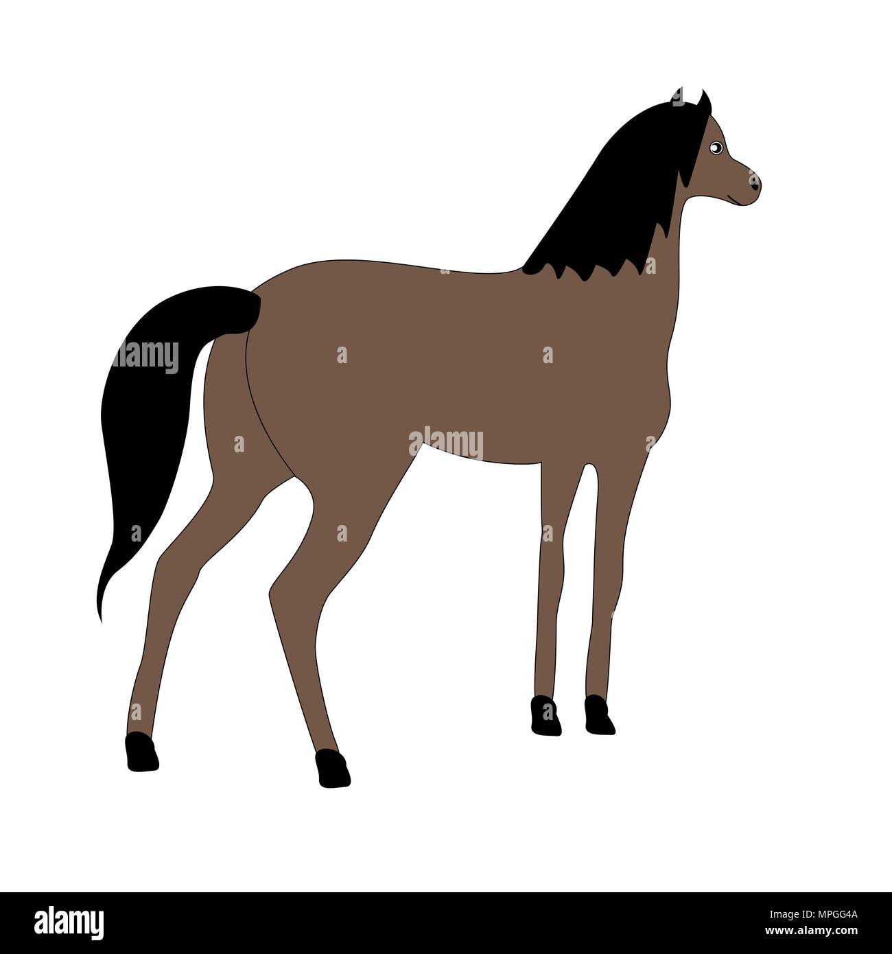 Jeune cheval costume brun isolé sur un fond blanc. Illustration de Vecteur