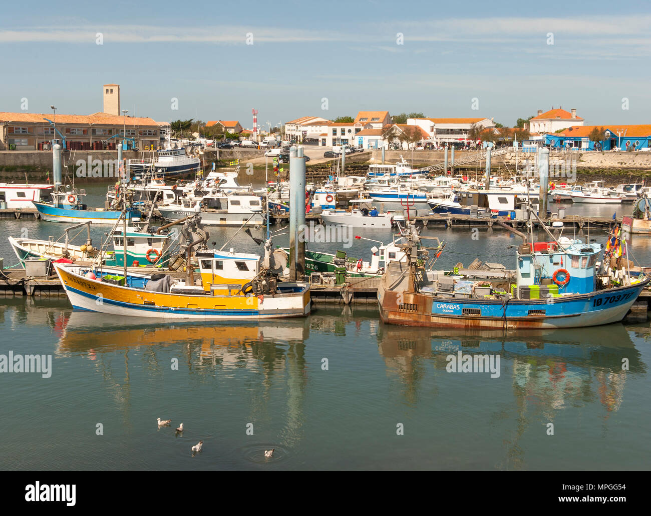 Le port de pêche de la Cotinière, sur l'Île d'Oléron, France Photo Stock -  Alamy