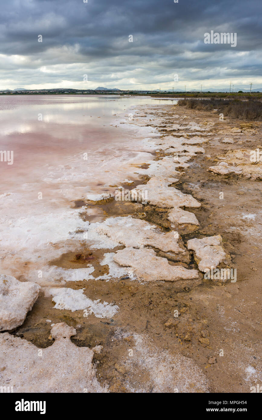 La rive du lac de sel rose de l'Torrevieja, Province d'Alicante, Espagne. Banque D'Images