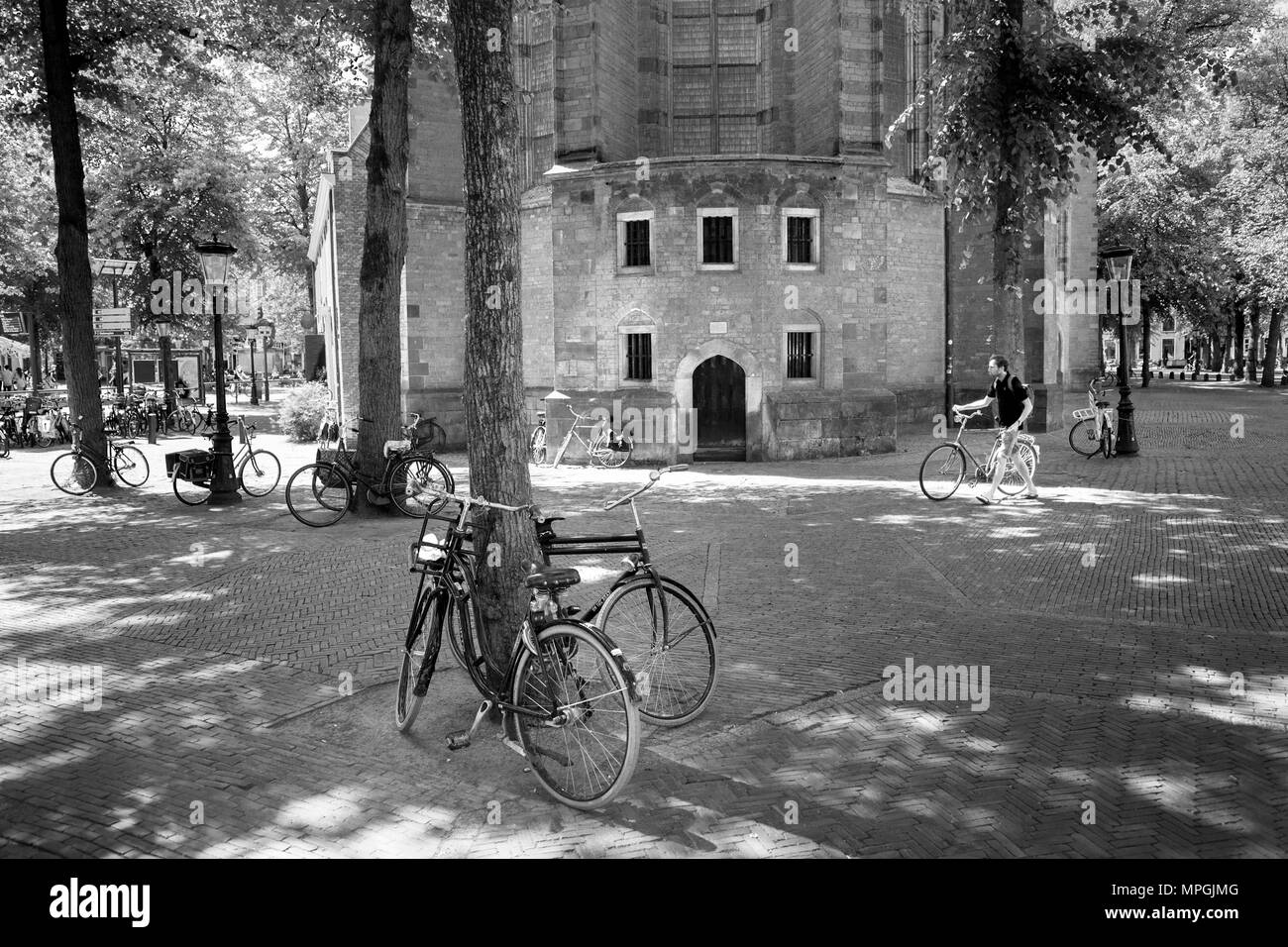 De nombreux vélos sont parqués pour arbres sur janskerkhof en vieille ville néerlandaise d'Utrecht en été Banque D'Images