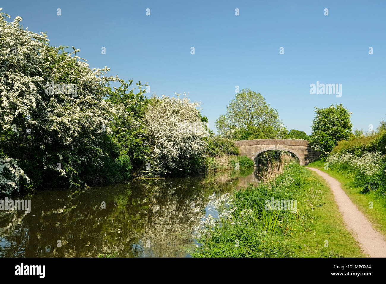Chemin de halage le long du Canal de Lancaster à Preston Banque D'Images