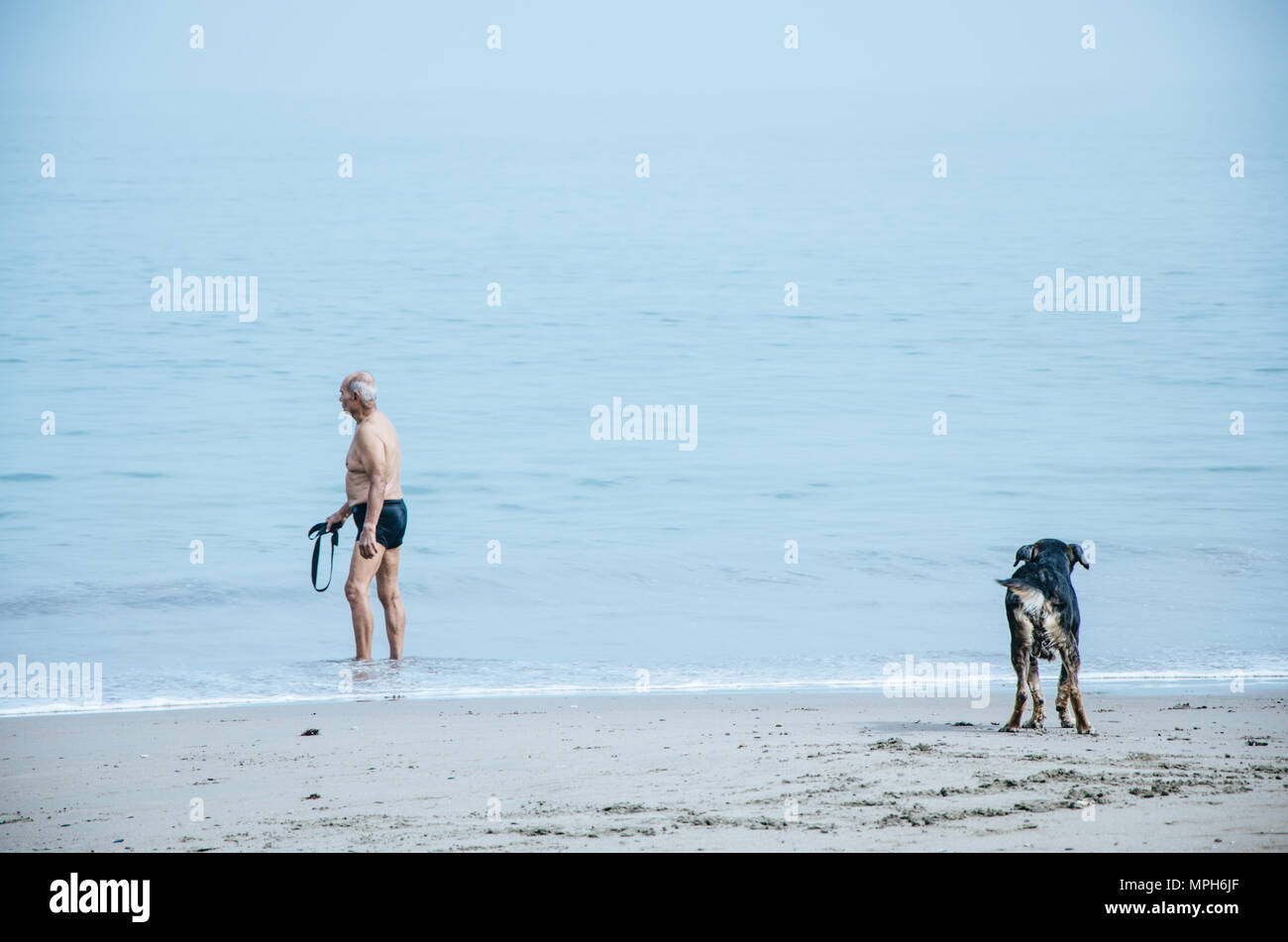 Vieil homme avec son chien sur la plage Banque D'Images