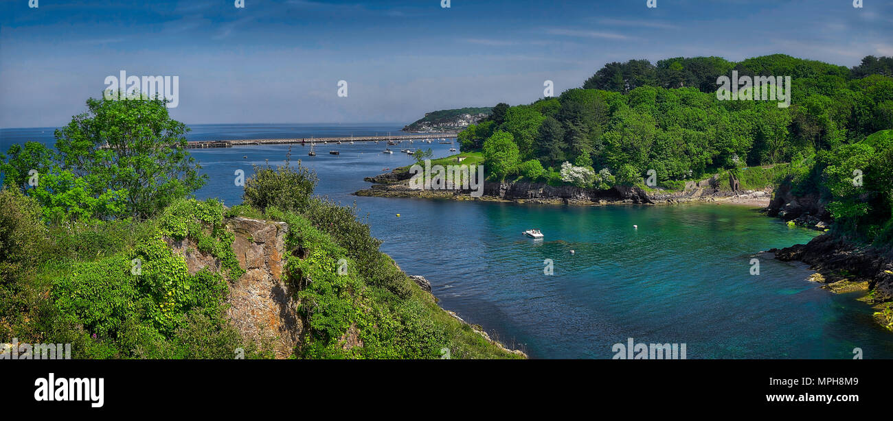 Go - DEVON : Elberry Cove près de Brixham (image HDR) Banque D'Images