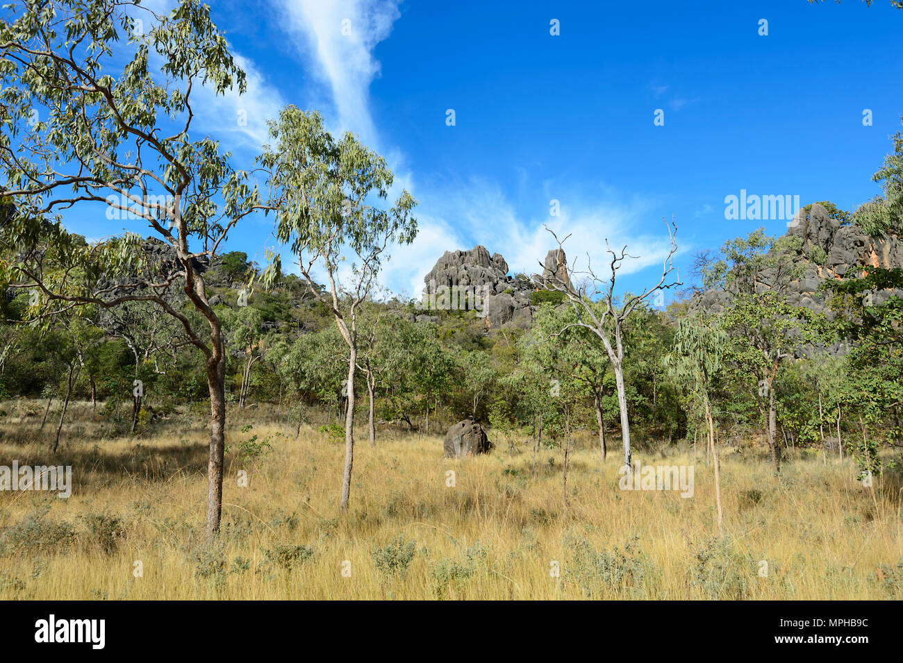 Savannah et pittoresque piton calcaire dans Chillagoe-Mungana Caves National Park, Far North Queensland, Queensland, Australie, FNQ Banque D'Images