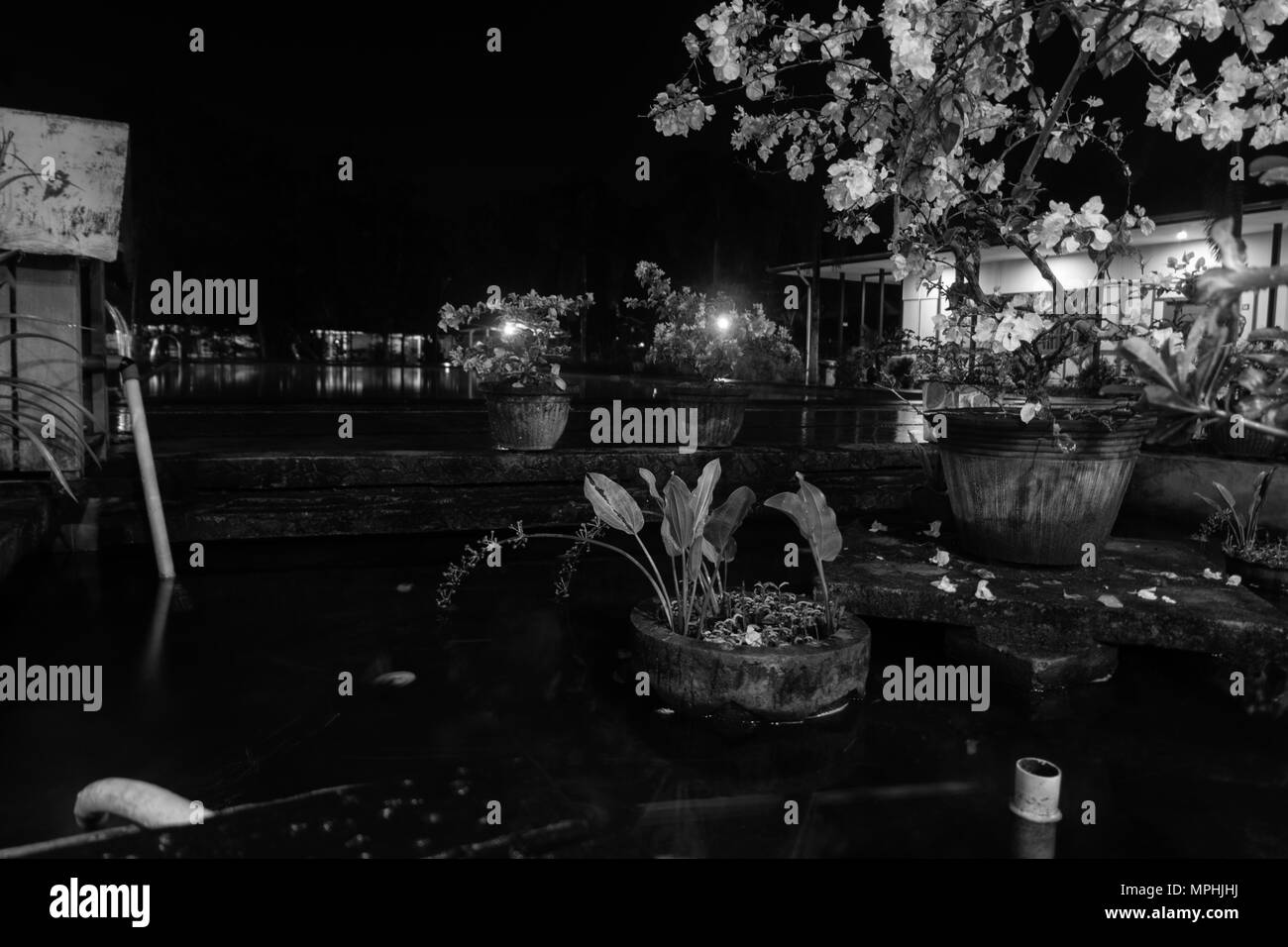 Nuit au jardin piscine Banque D'Images