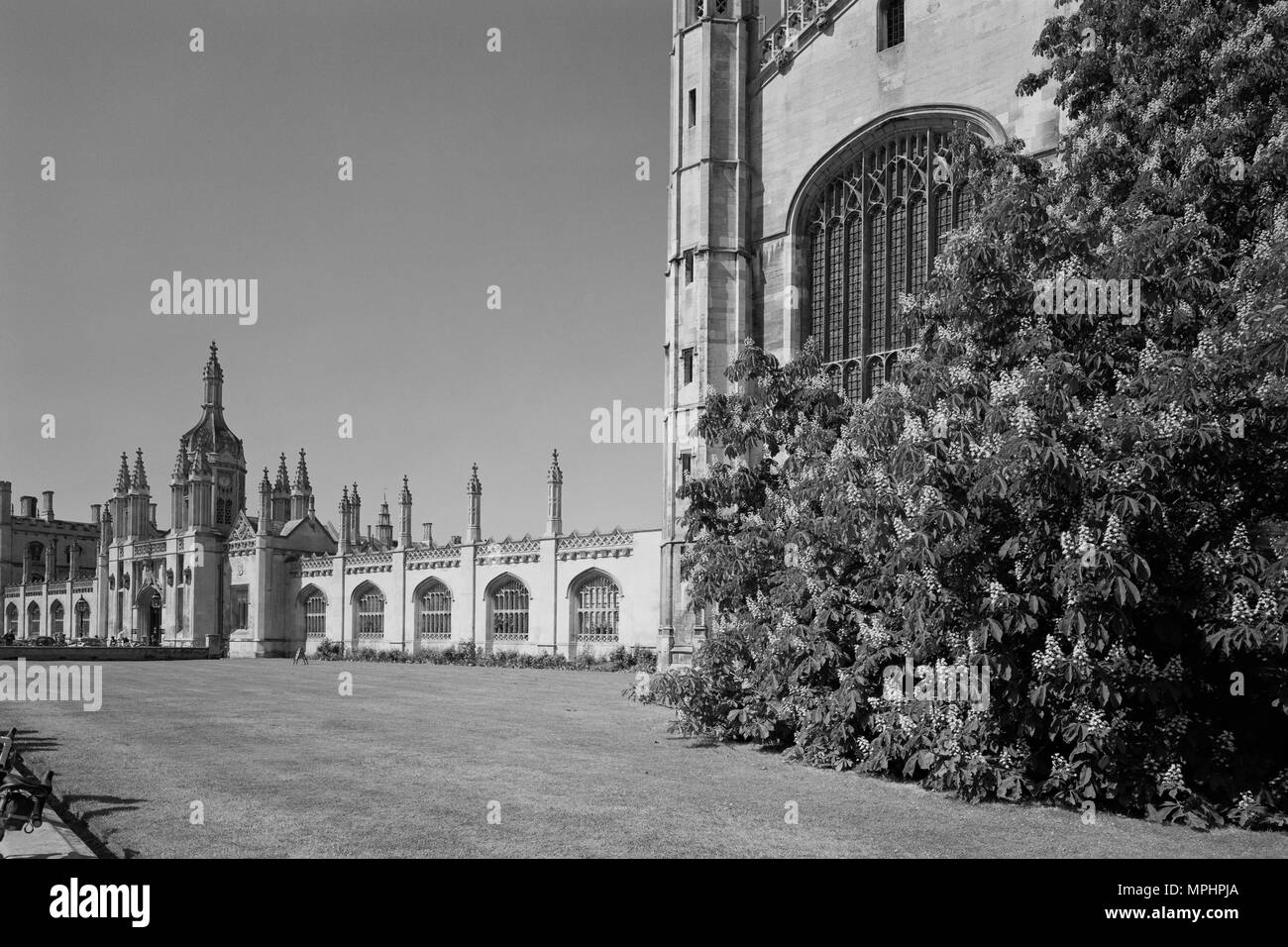 King's College de Cambridge sur King's Parade Banque D'Images