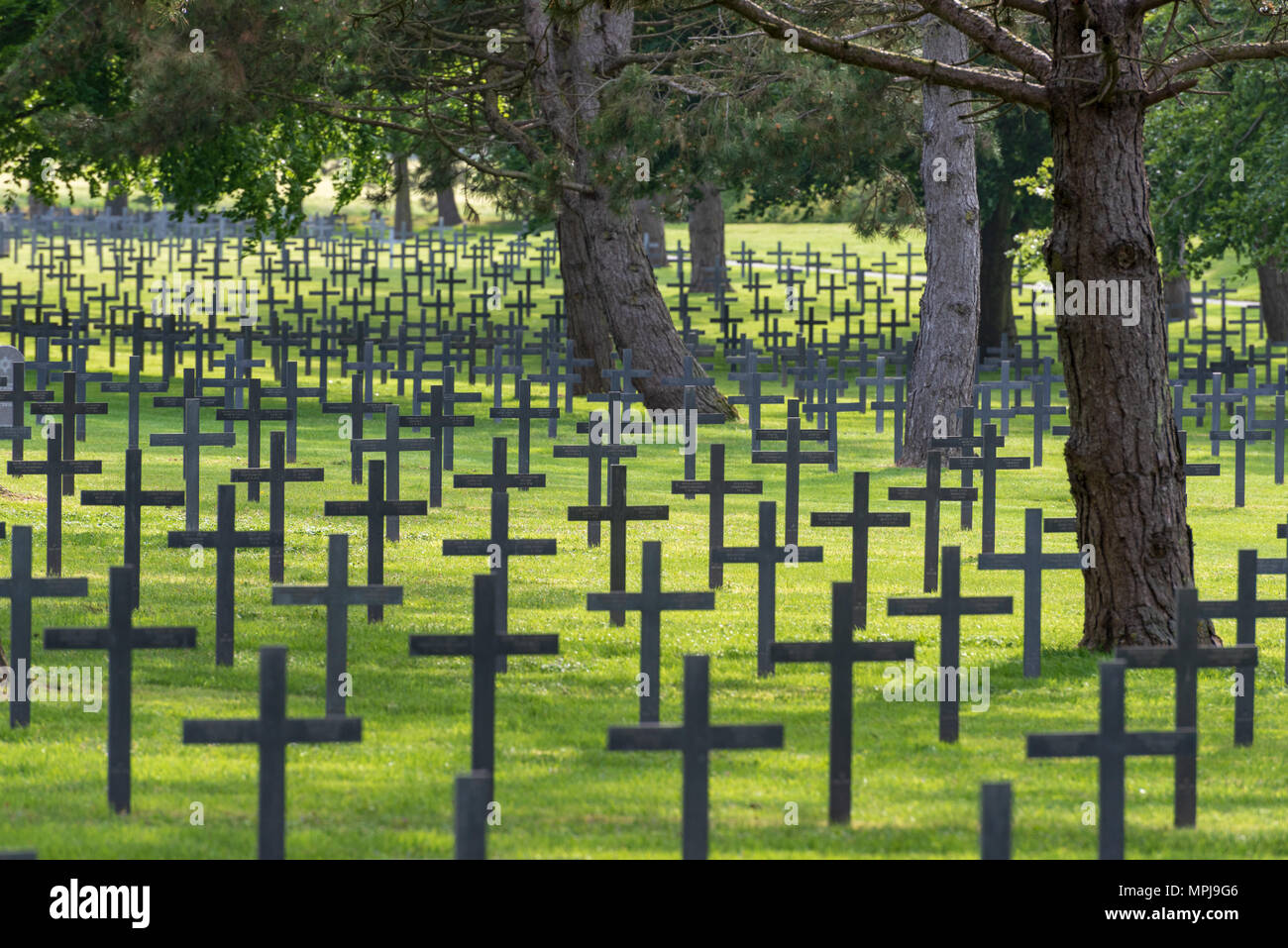 Des sépultures de guerre allemand, Neuville St Vaast cimetière allemand Banque D'Images