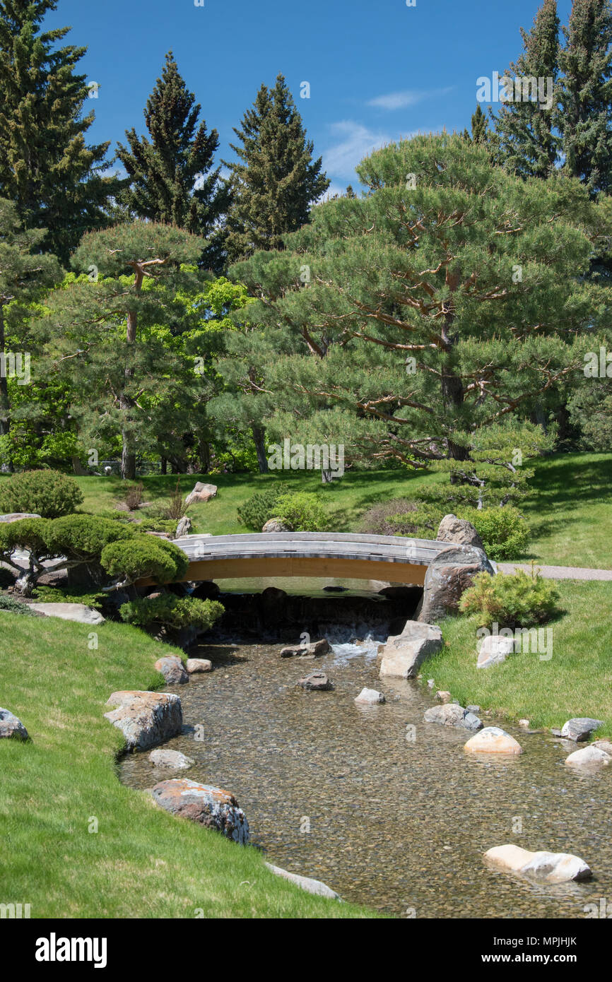 Pied pont sur un ruisseau de jardin japonais Nikka Yuko à Lethbridge, Alberta a ouvert ses portes en 1967. Tous les composants ont été construites à Kyoto, au Japon, et reassembl Banque D'Images