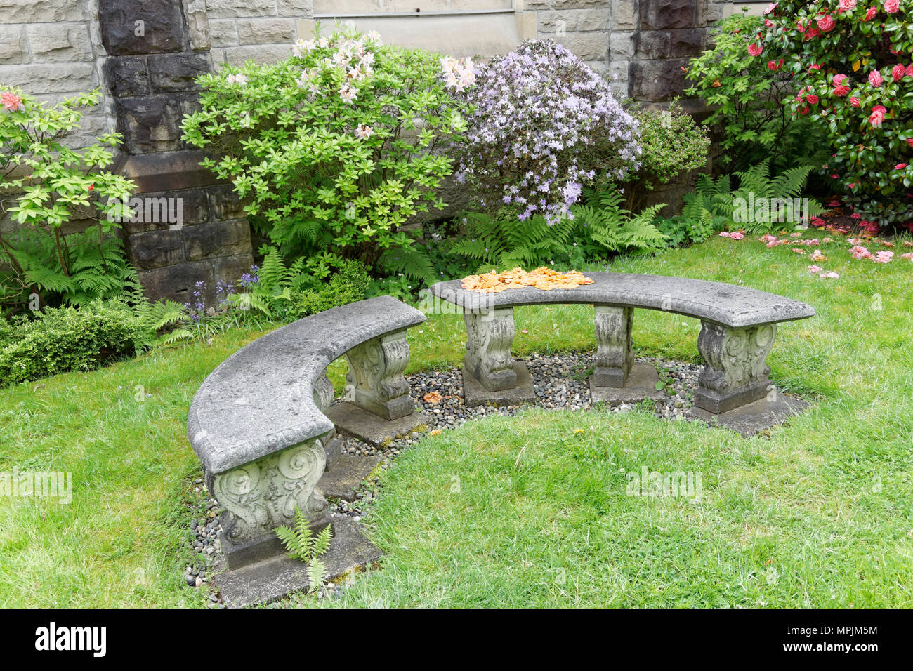 Composition - bancs de pierre disposés en demi-cercle dans le jardin de l'Église Unie de Ryerson à Kerrisdale, Vancouver, British Columbia, Canada Banque D'Images