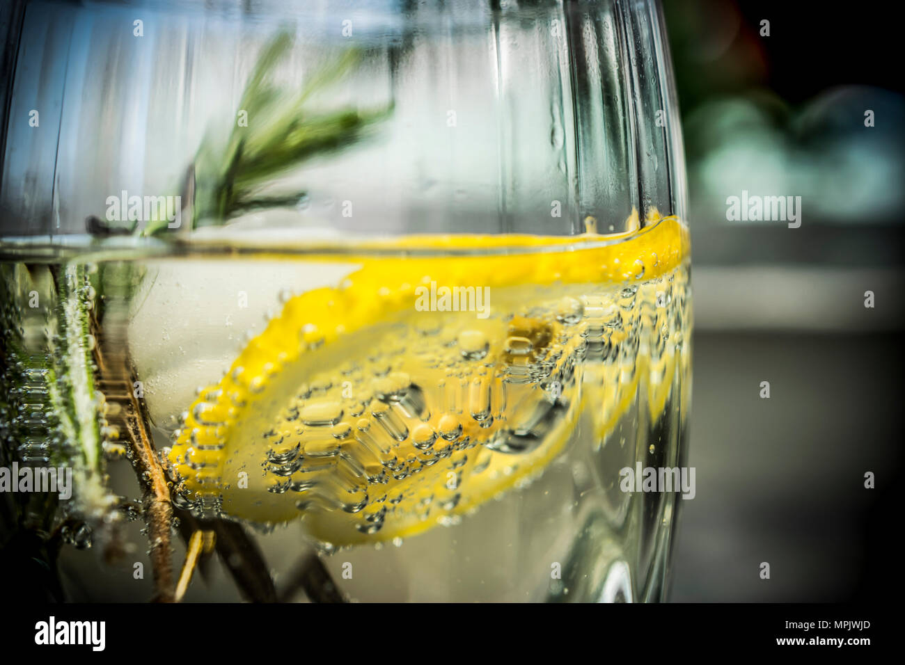 Close-up d'un verre de Tonic avec citron et romarin Banque D'Images