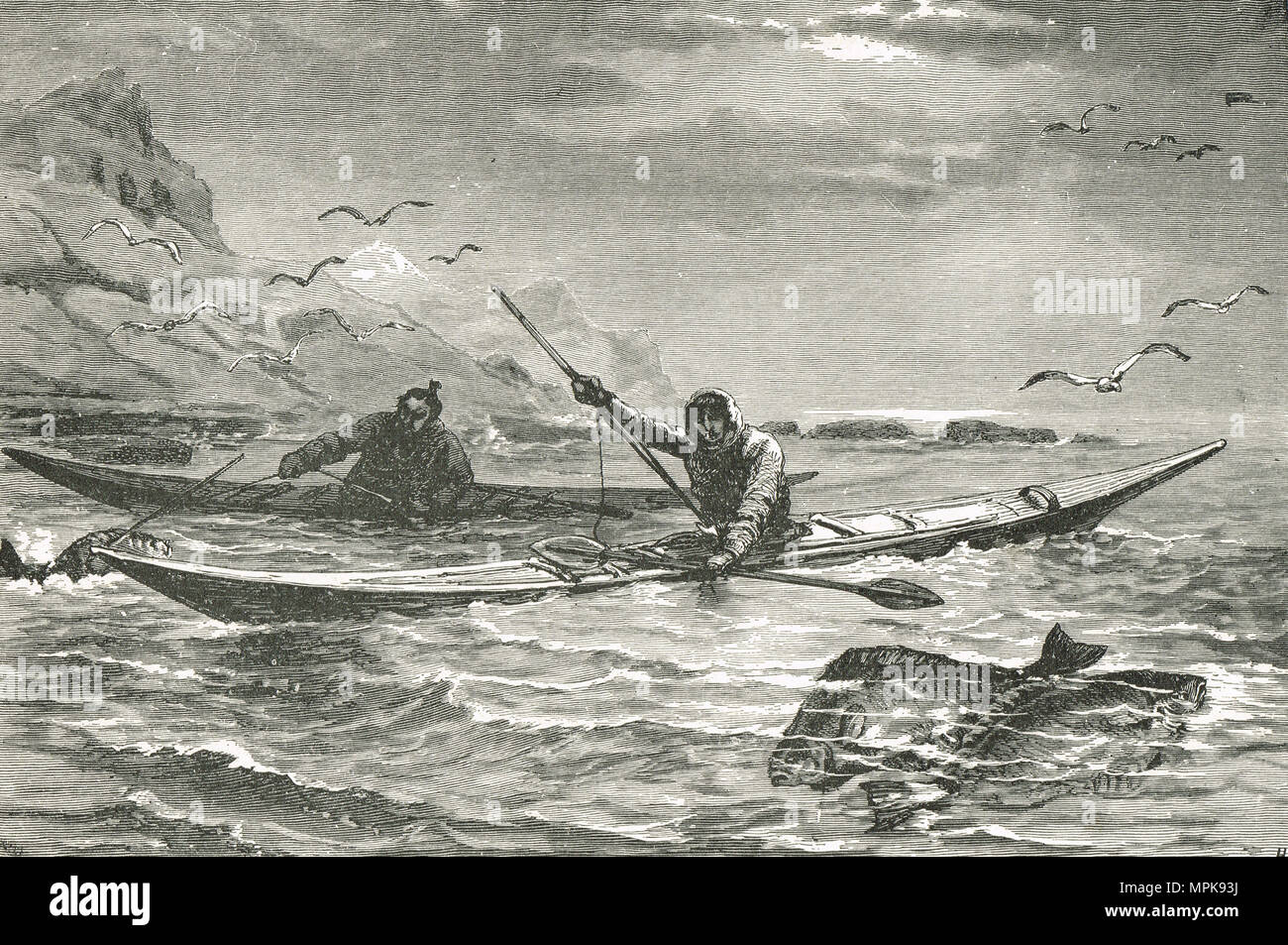 Pêche en kayak esquimaux, la chasse avec des lances Banque D'Images