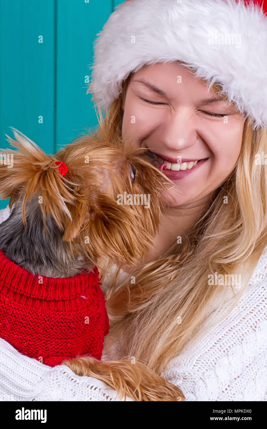 Belle fille de santa cap avec chien yorkshire à pull rouge Banque D'Images