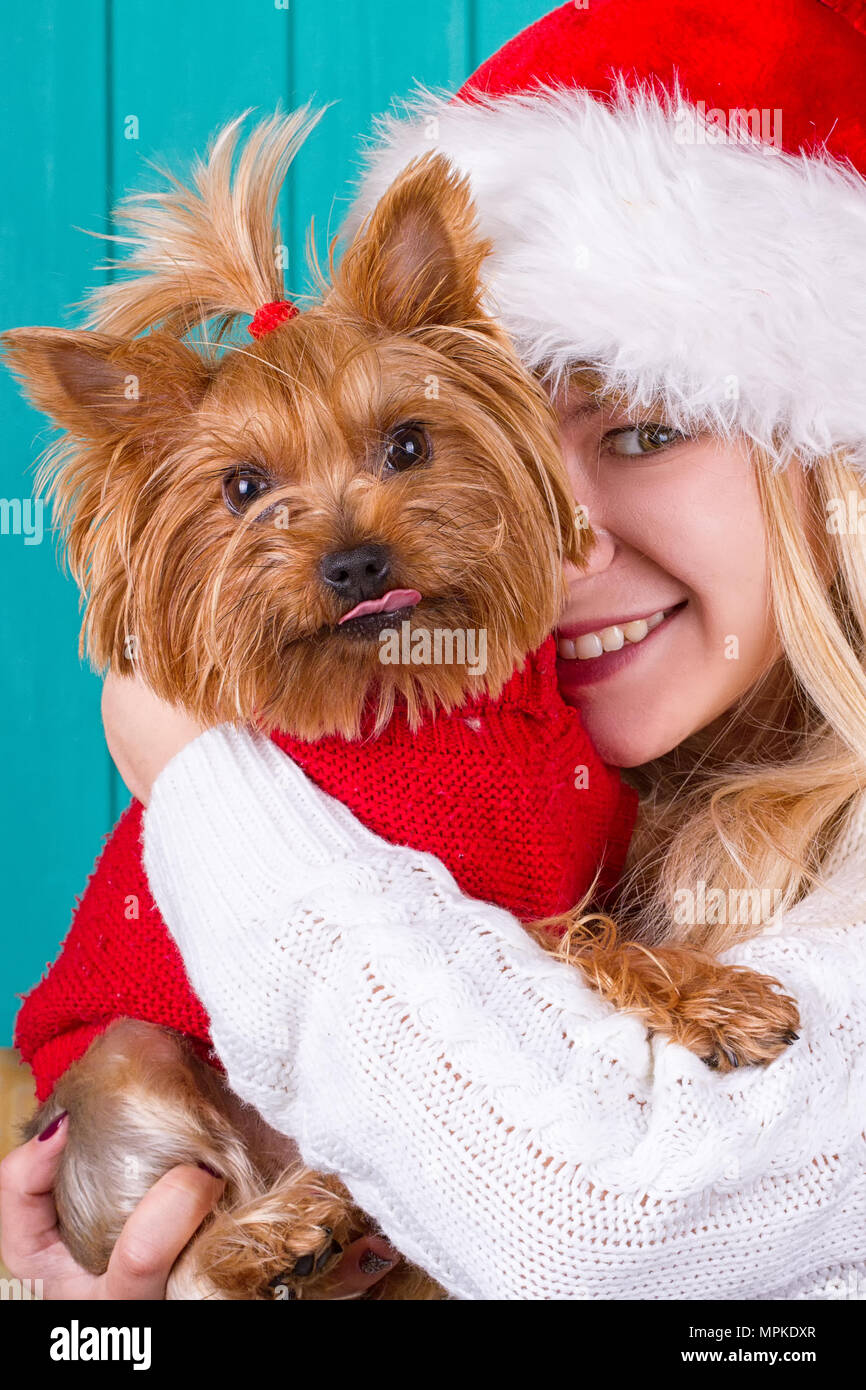 Belle fille de santa cap avec chien yorkshire à pull rouge Banque D'Images