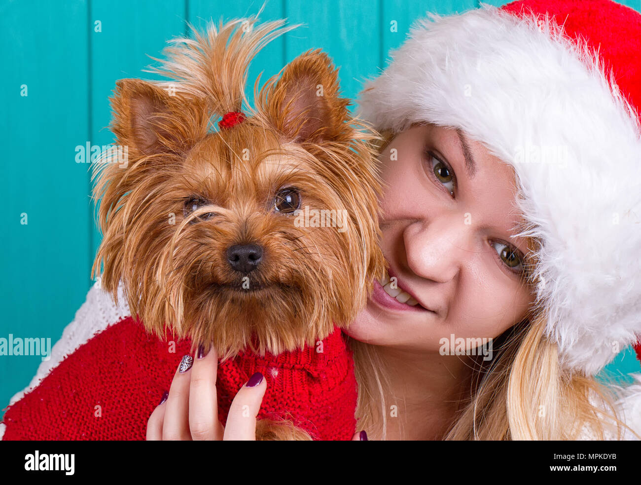 Belle fille de santa cap avec chien yorkshire à pull rouge Banque D'Images