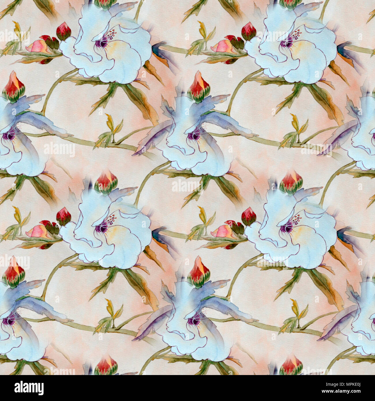 Motif à fleurs hibiscus blanc, aquarelle Banque D'Images
