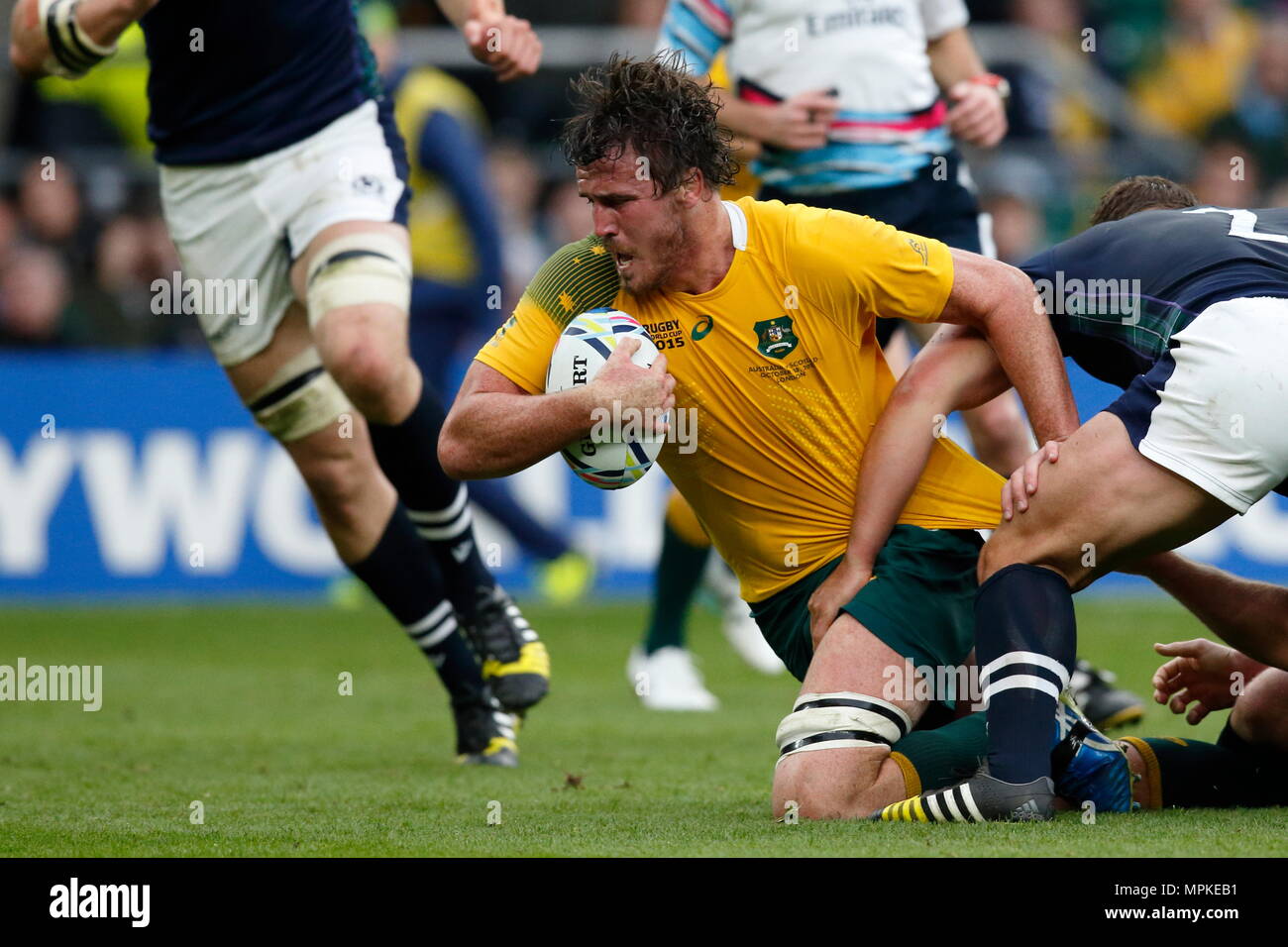 Deuxième rangée de l'Australie au cours de la CISR Douglas Kane RWC 2015 match de quart de finale entre l'Australie v l'Écosse au stade de Twickenham. Londres, Angleterre. 18 octobre 2015 --- Image par © Paul Cunningham Banque D'Images Deuxième rangée de l'Australie au cours de la CISR Douglas Kane RWC 2015 match de quart de finale entre l'Australie v l'Écosse au stade de Twickenham. Londres, Angleterre. 18 octobre 2015 --- Image par © Paul Cunningham Banque D'Images
