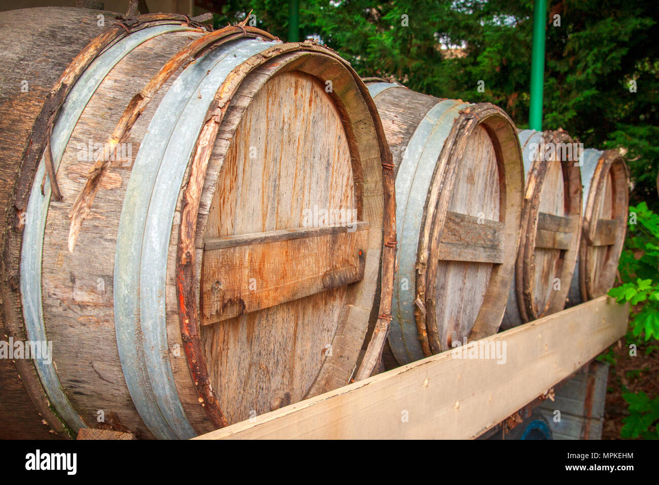 Vin rouge avec barils stockés sur vigne en France Banque D'Images