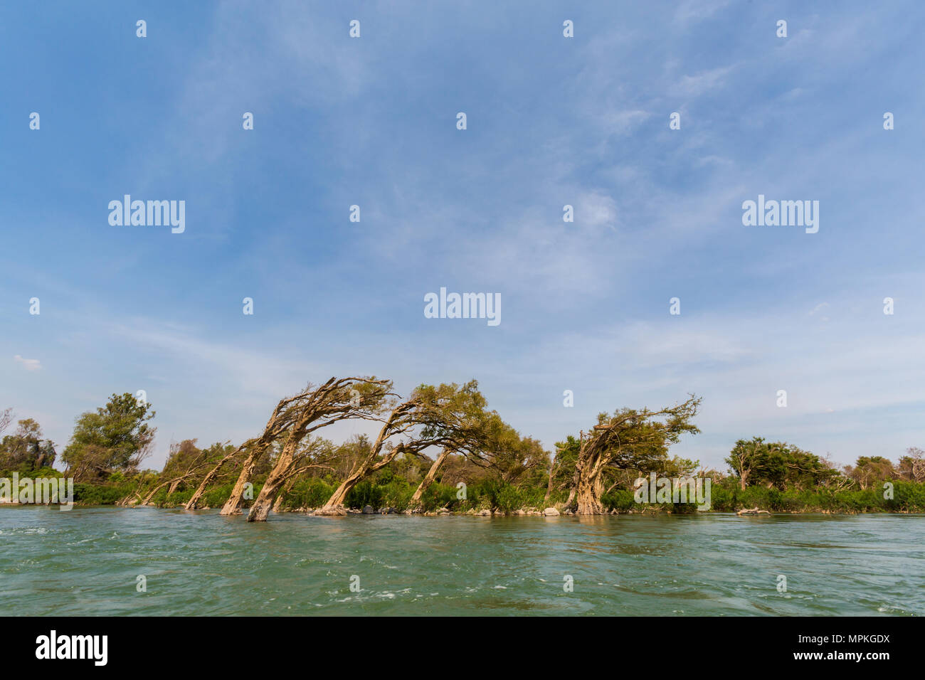 De rares dauphins irawaddy en bateau de Khongyai beach sur Don Khone Island dans le sud du Laos. Bateau de paysage sur quatre des milliers d'îles sur Mekhong Banque D'Images