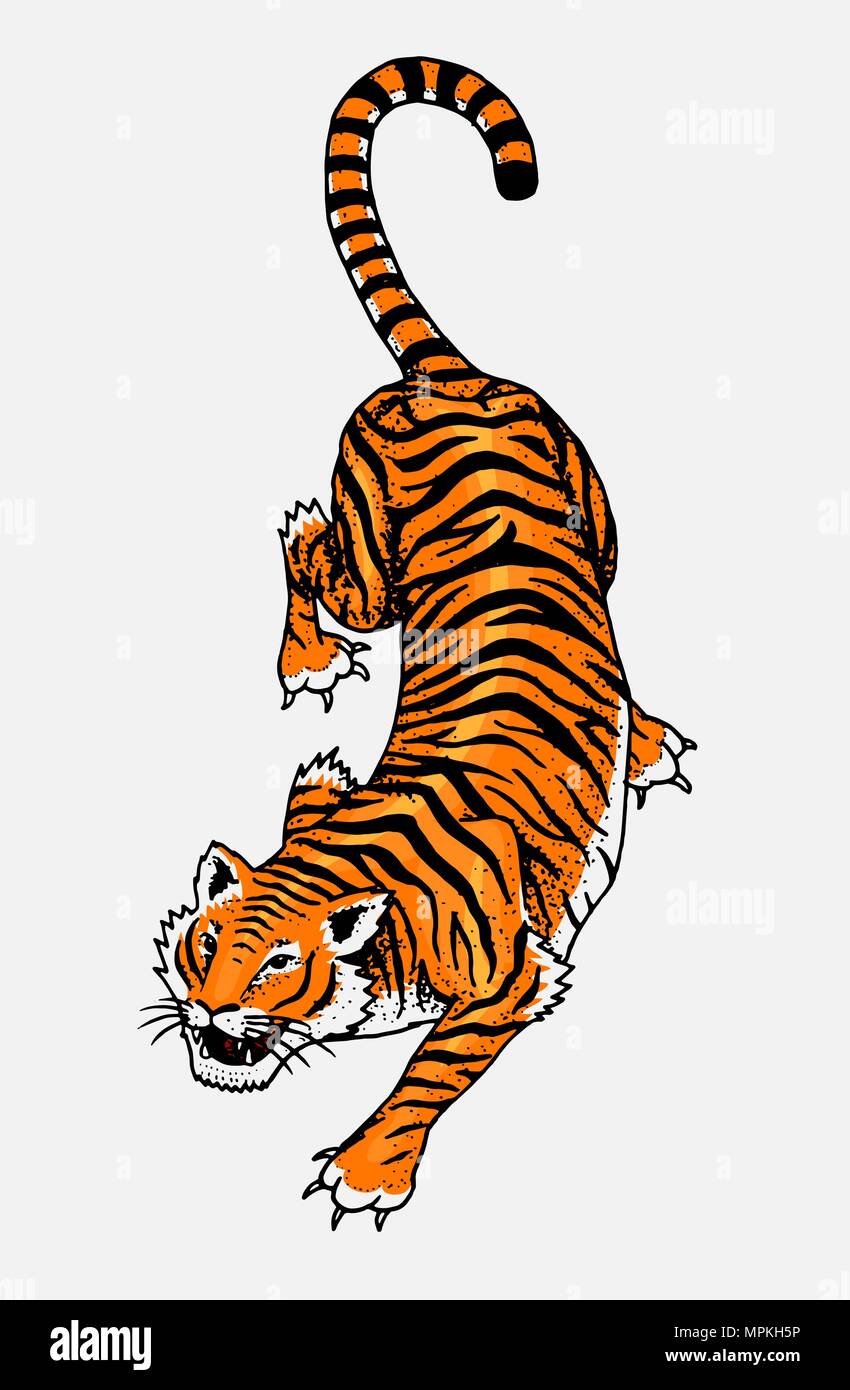 Tigre Sauvage Japonais Chat Asiatique Vue D En Haut Le Correctif De Mode Art De Tatouage Pour Les Filles Dessines A La Main Gravee Dans Old Vintage Croquis Vector Illustration Surrealiste Badges Impression