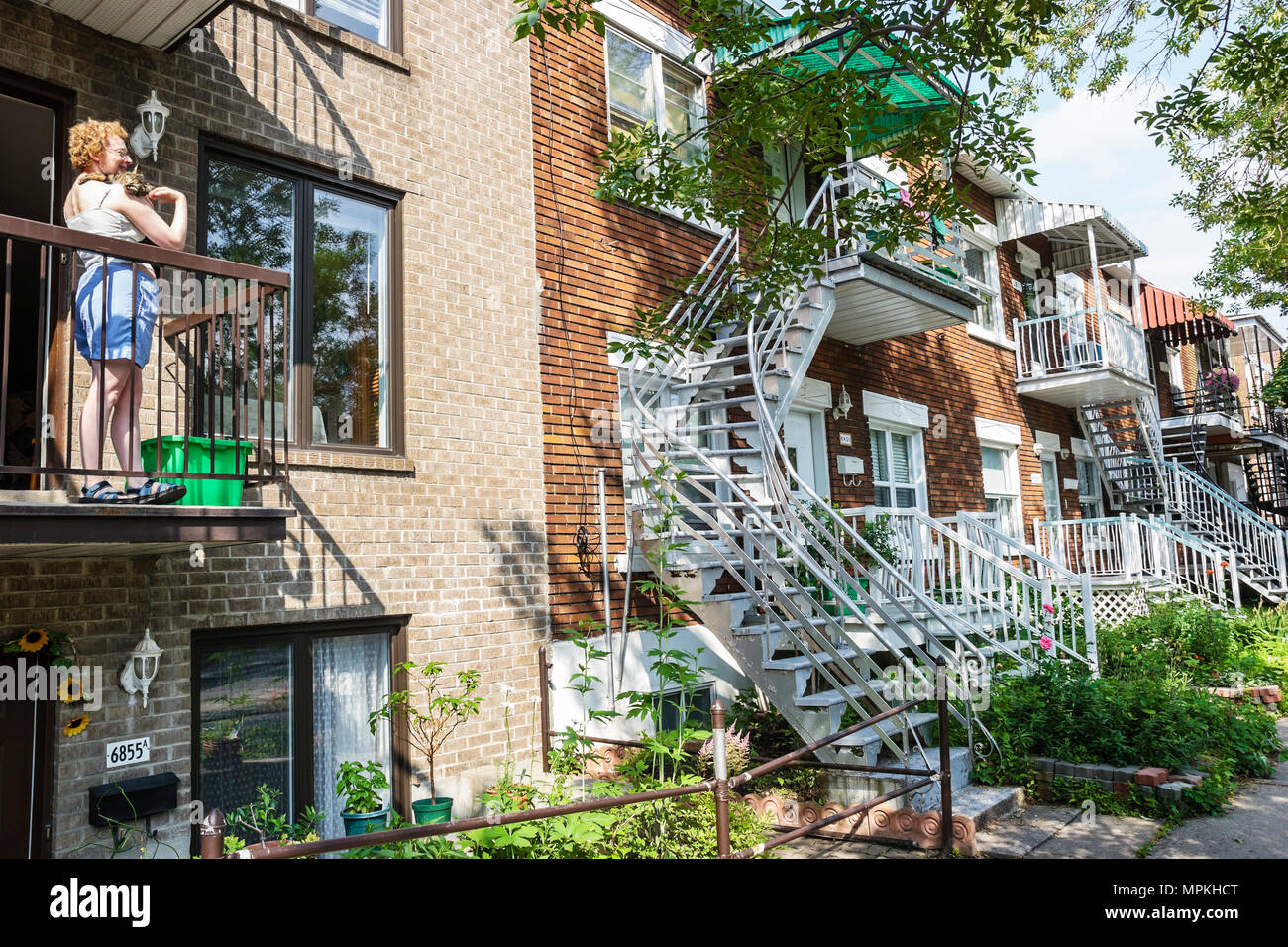 Montreal Canada Province De Quebec Rue D Iberville Escalier Traditionnel Maisons De Ville Adultes Femme Femme Femme Femme Chats De Chat Domestique Domestique Animal De Compagnie P Photo Stock Alamy