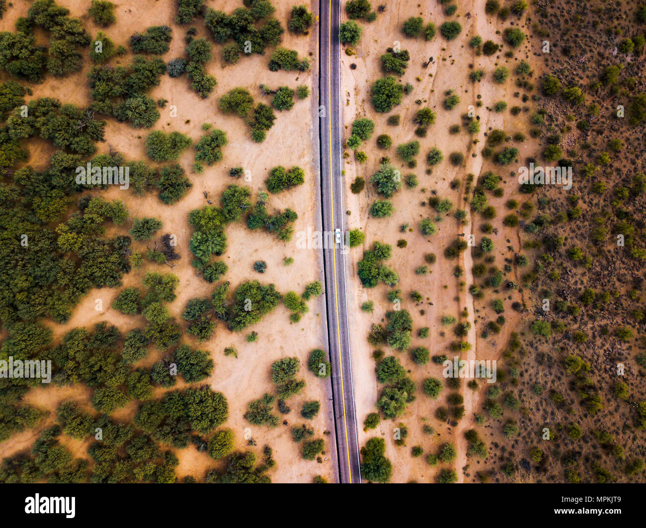 Route du désert avec des buissons et cactus vue aérienne Banque D'Images