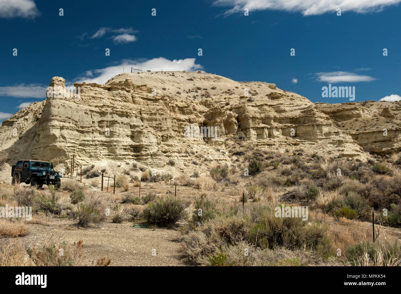 Les couches du Miocène de boue et de cendres volcaniques déposés près de Rome, à côté de l'Oregon US Hwy 95. Banque D'Images