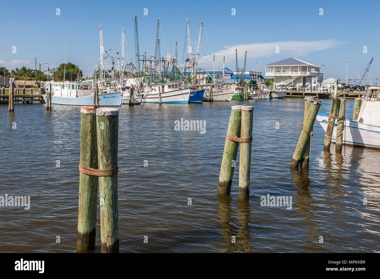 Bateaux commerciaux de pêche à la crevette dans le port de Pass Christian, Mississippi Banque D'Images