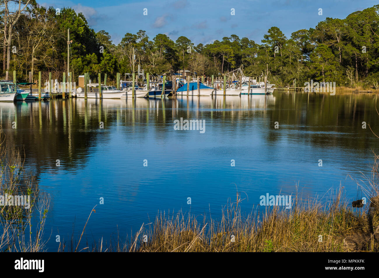Bateaux de pêche privés et commerciaux au port intérieur d'Ocean Springs sur la côte du golfe du Mississippi à Ocean Springs, Mississippi Banque D'Images
