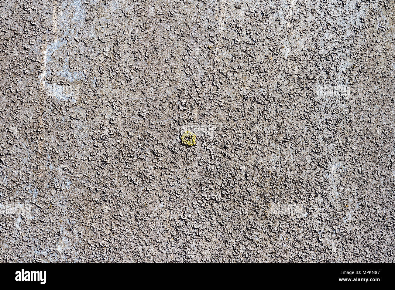 Vieux mur de béton avec mousse gris texture background. Vieux Mur moussu lichen gris avec texture de surface Banque D'Images
