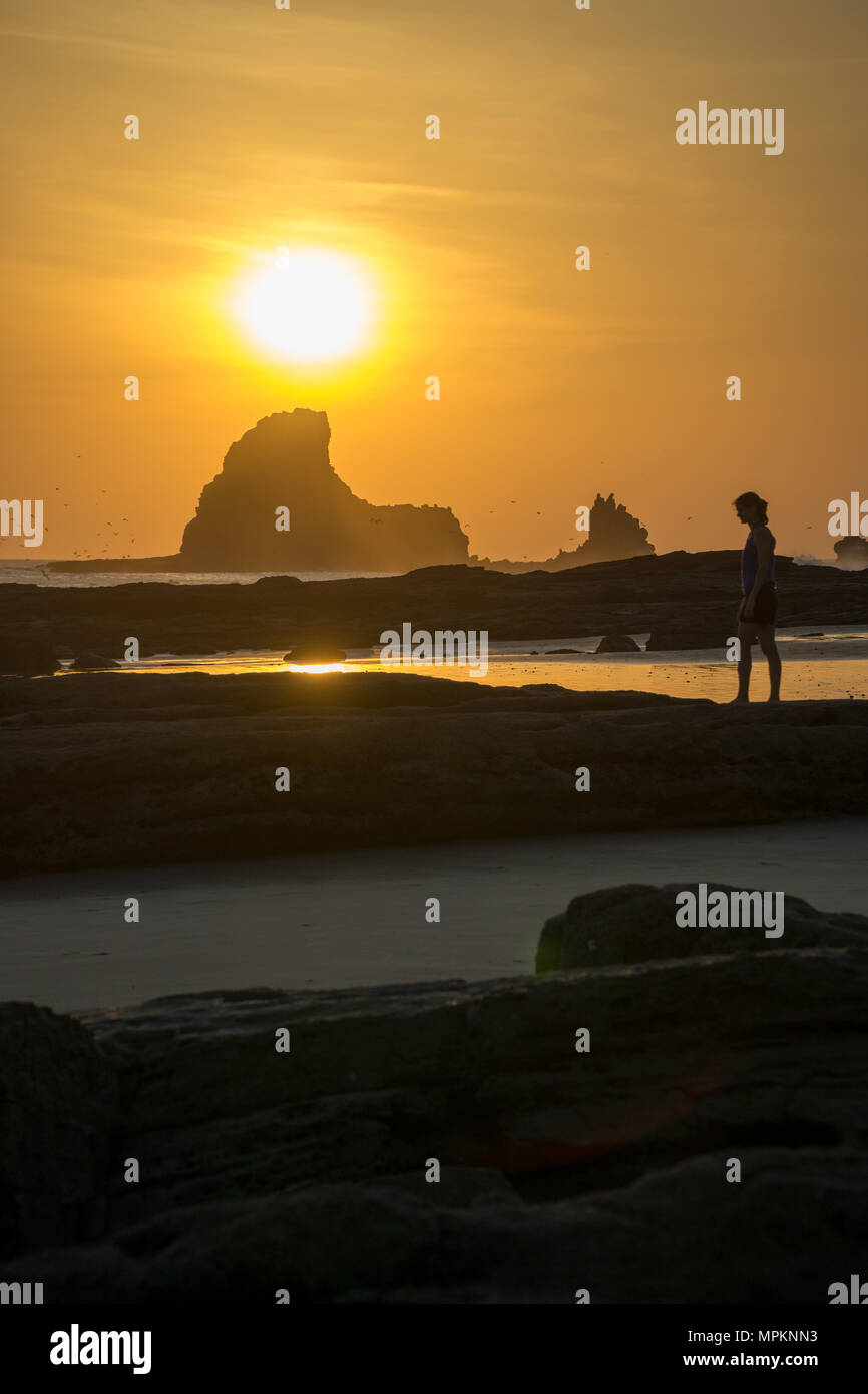 Silhouette d'une femme est à la recherche dans le coucher du soleil à la plage. Avec des réflexions et des oiseaux dans le ciel. Banque D'Images