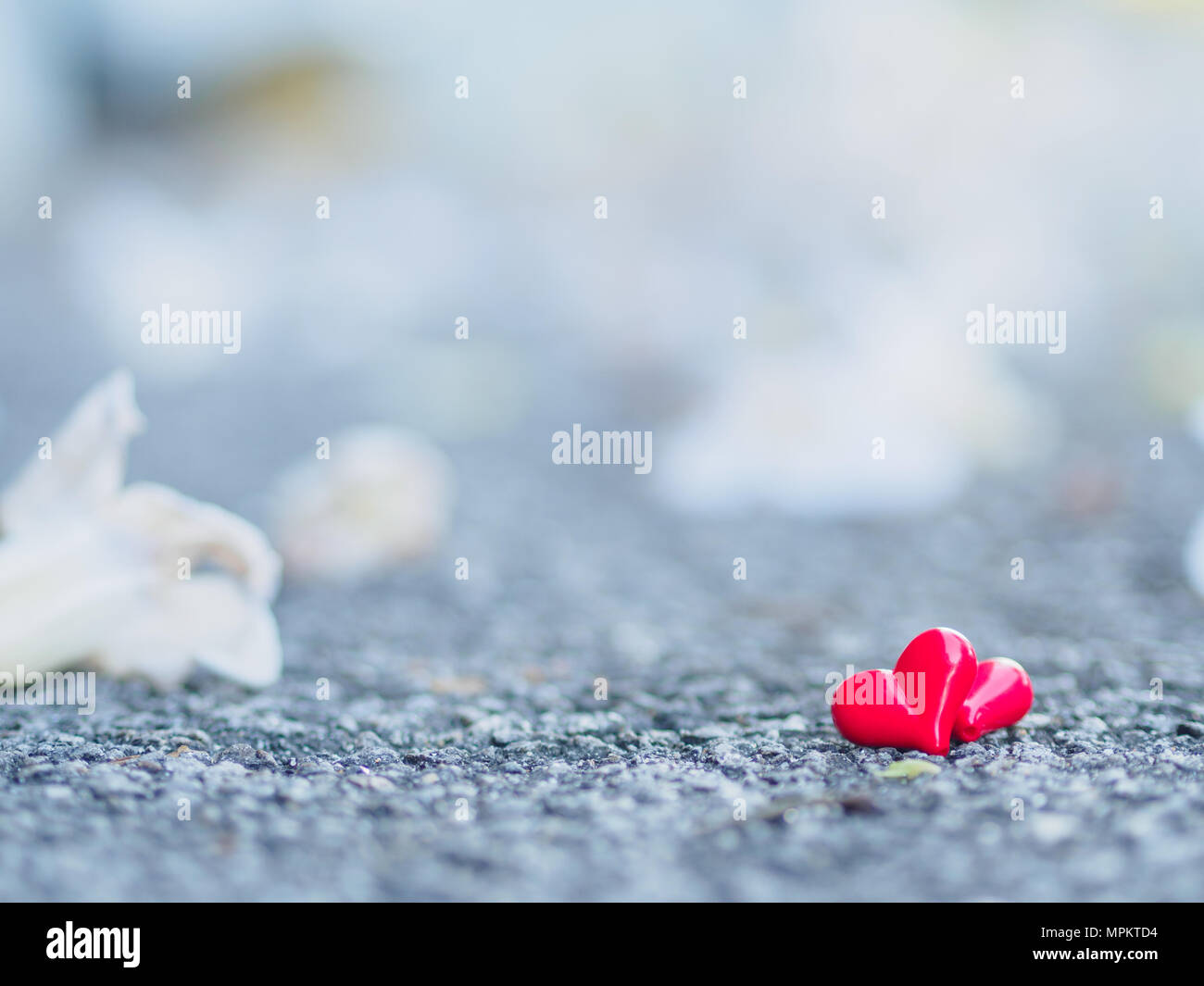 Coeur rouge et blanc fleur sur road Banque D'Images