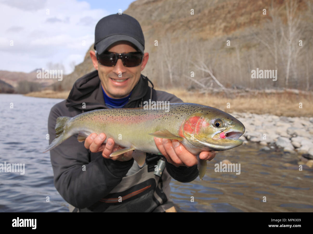 Fisherman holding réussie la truite arc-en-ciel de salmon river dans l'Idaho Banque D'Images
