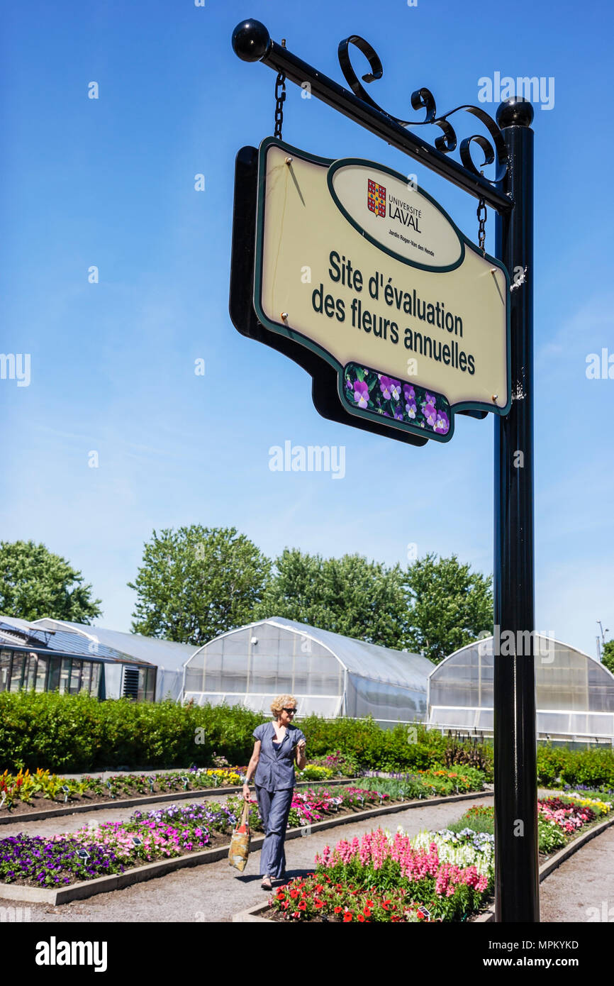 Québec Canada,Université Laval,jardin Roger Van den Hende,jardin botanique,panneau,fleurs annuelles,université,collège,campus,Canada070710127 Banque D'Images Québec Canada,Université Laval,jardin Roger Van den Hende,jardin botanique,panneau,fleurs annuelles,université,collège,campus,Canada070710127 Banque D'Images