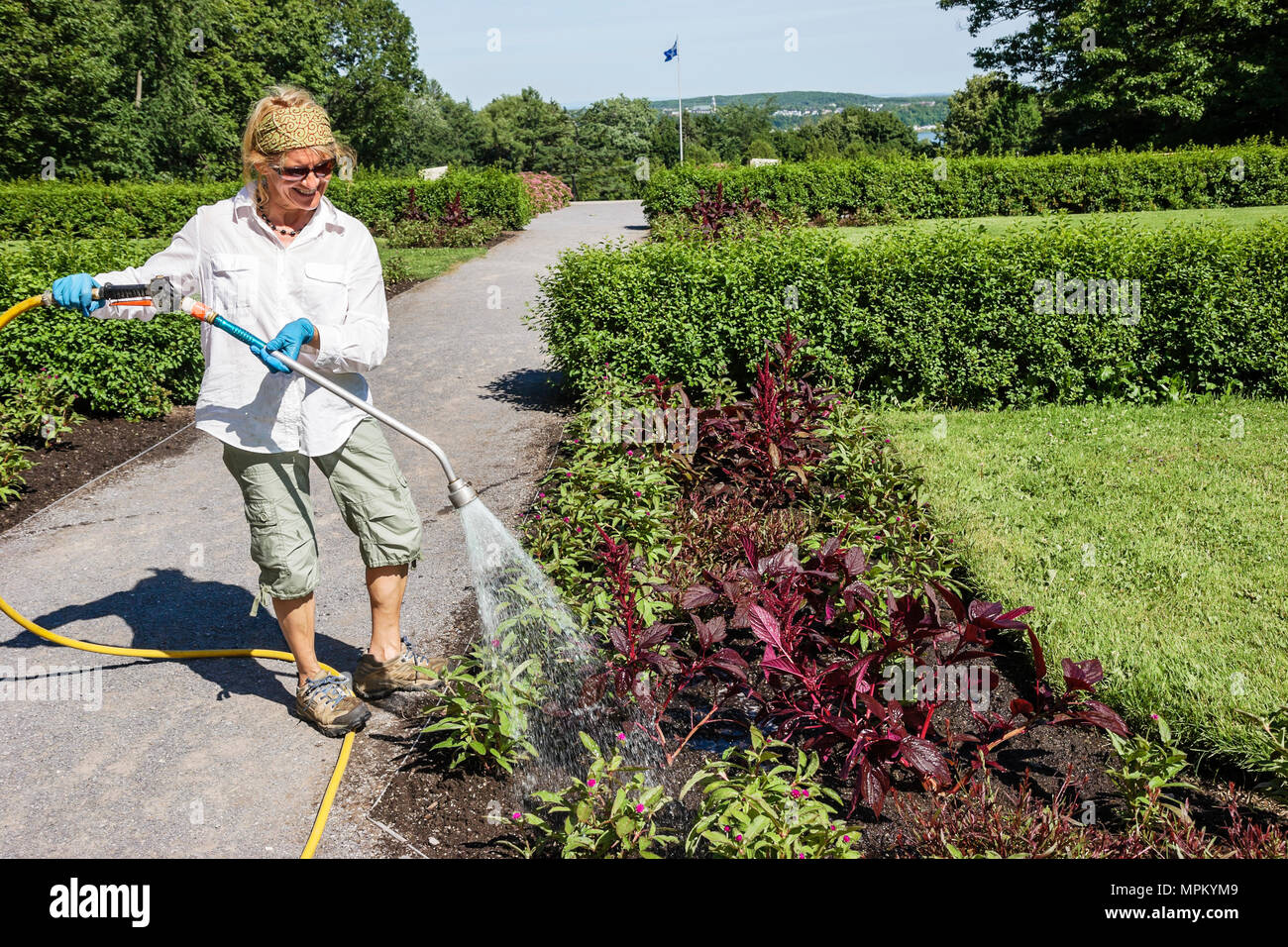 Québec Canada,Parc du Bois de Coulonge,parc public,femme femme femme,employé travailleur travailleur personnel,arrosage,tuyau,Canada070710136 Banque D'Images