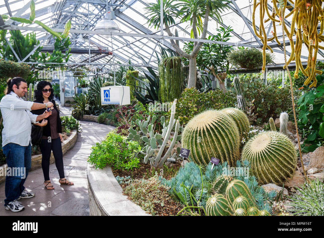 Toronto Canada,Allan Gardens Conservatory,jardin botanique,végétation,homme hommes adultes,visiteur,serre,plantes,vert,botanique,horticulture,ar Banque D'Images