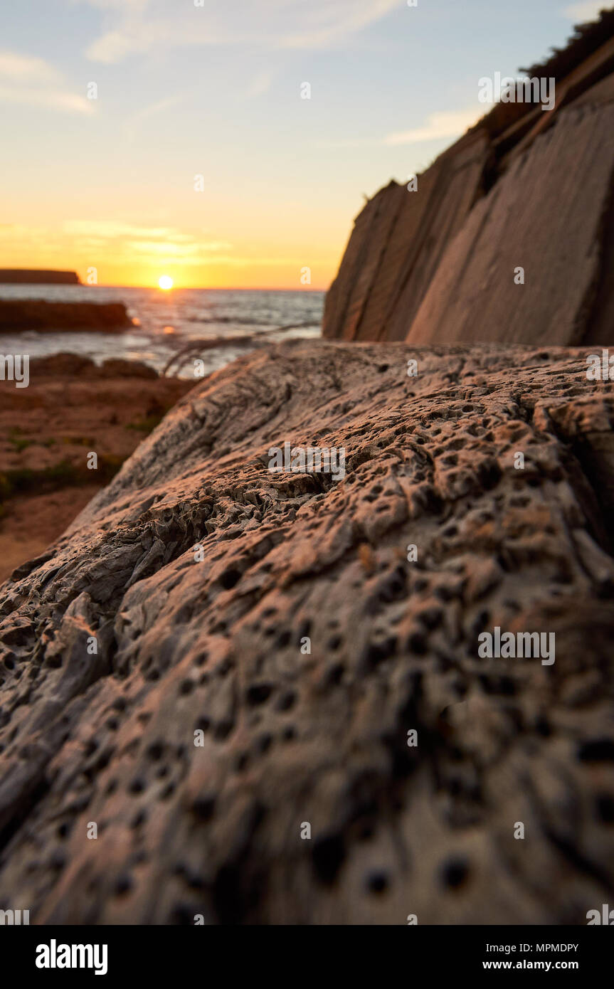 La texture du bois d'une cale sèche traditionnelle pleine de trous woodworm golf polo et coucher à Calo d'en Trull près de Cala Saona à Formentera (Baléares, Espagne) Banque D'Images