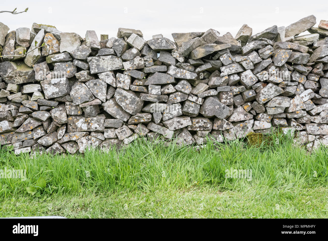 Mur en pierre sèche dans le parc national de Peak District, Staffordshire, Angleterre. Banque D'Images